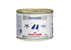 Ração Úmida Royal Canin Veterinary Recovery para Cães e Gatos em Recuperação 195 g