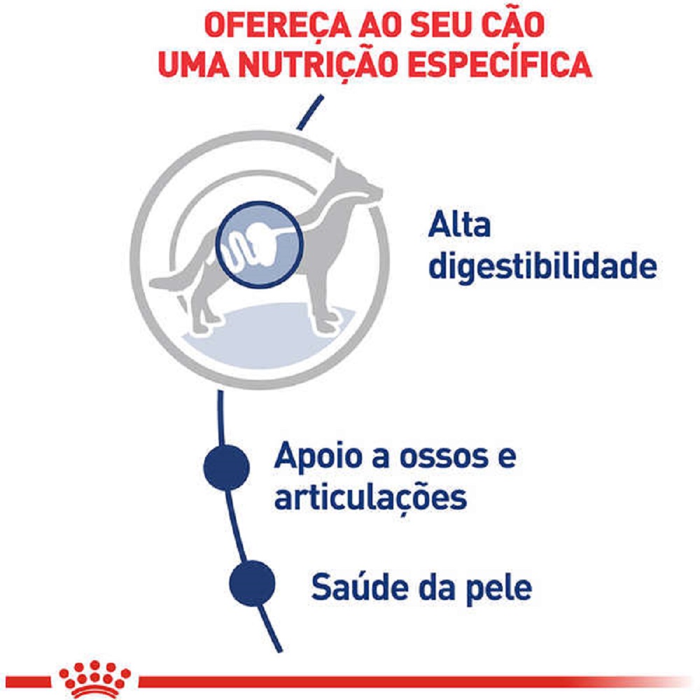 Ração Seca Royal Canin Maxi Adult para Cães Adultos de Porte Grande 12 Kg - Imagem 2